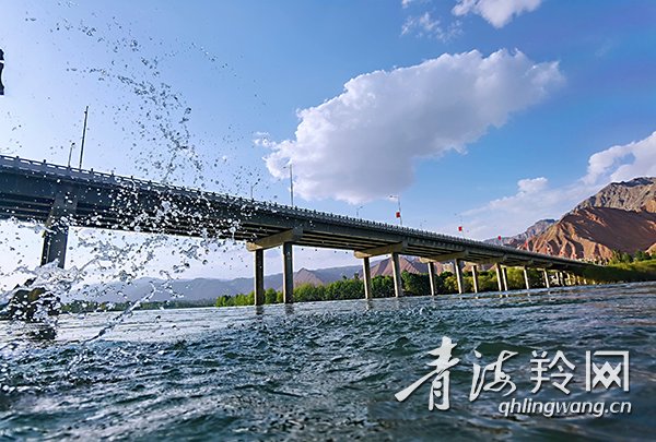 循化：黄河沿岸生态美(7284966)-20210513085304 副本.JPG